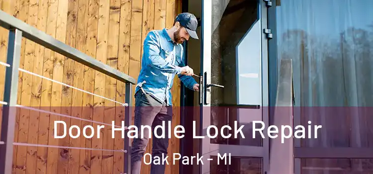 Door Handle Lock Repair Oak Park - MI