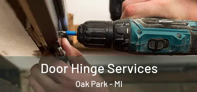 Door Hinge Services Oak Park - MI