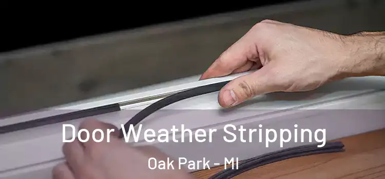  Door Weather Stripping Oak Park - MI