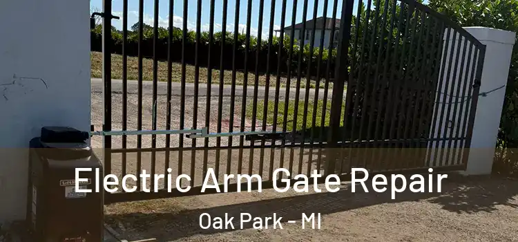 Electric Arm Gate Repair Oak Park - MI
