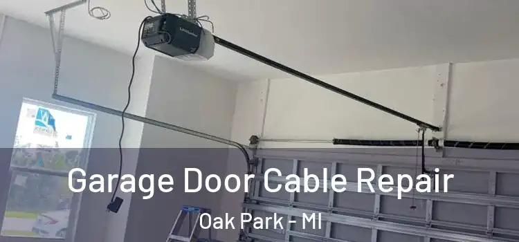  Garage Door Cable Repair Oak Park - MI