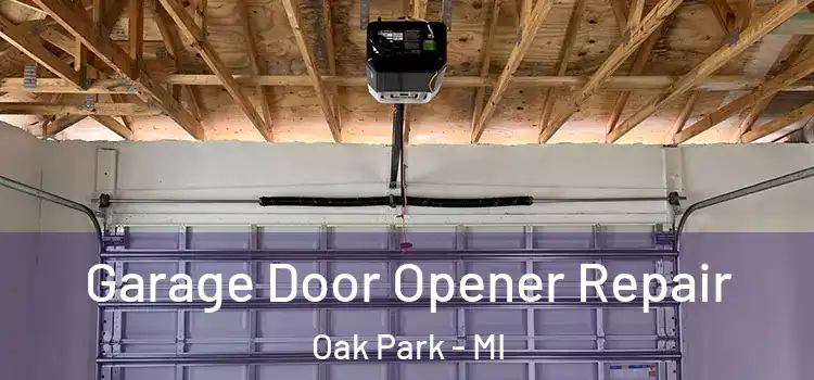  Garage Door Opener Repair Oak Park - MI