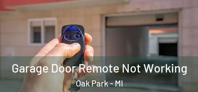  Garage Door Remote Not Working Oak Park - MI