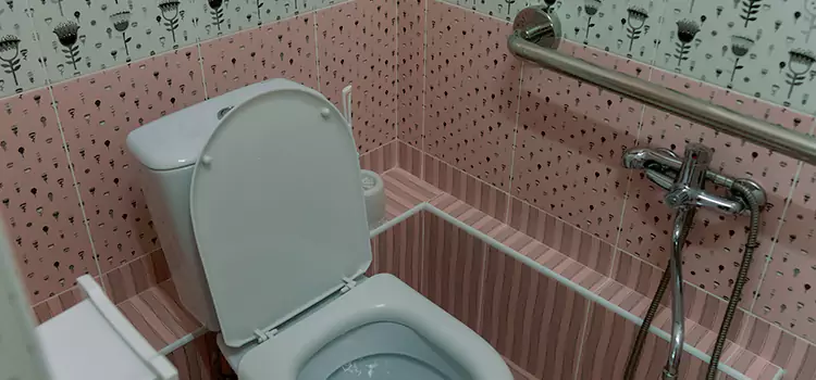 Meeting Diverse Needs With Accessible Restroom Solutions in Oak Park, MI