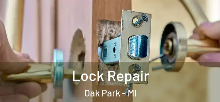 Lock Repair Oak Park - MI