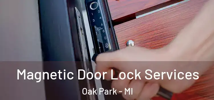 Magnetic Door Lock Services Oak Park - MI