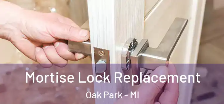 Mortise Lock Replacement Oak Park - MI