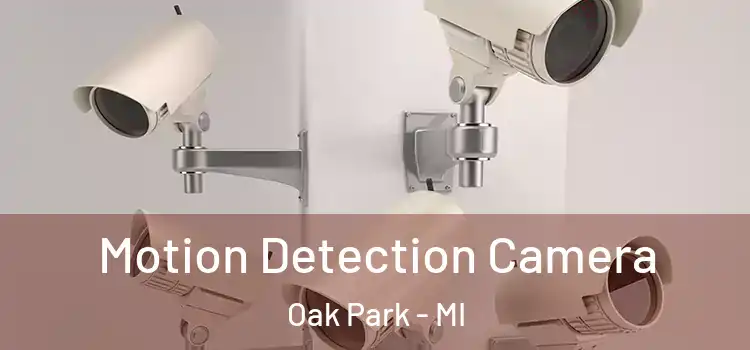  Motion Detection Camera Oak Park - MI