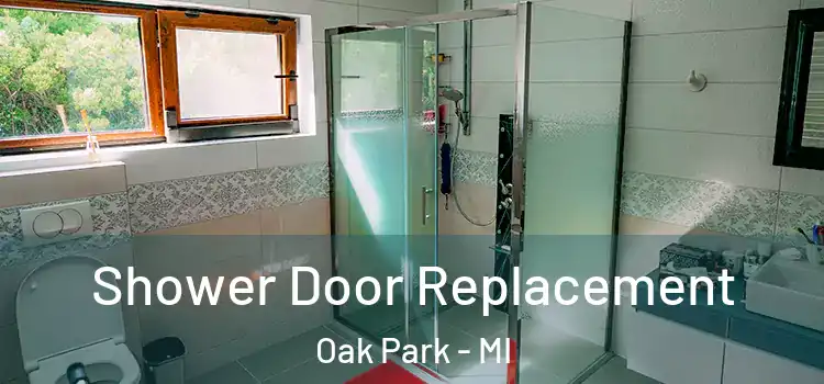 Shower Door Replacement Oak Park - MI