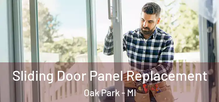  Sliding Door Panel Replacement Oak Park - MI